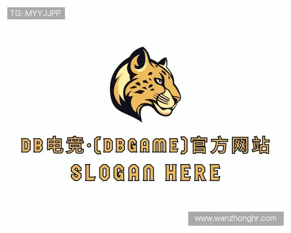 关于DB电竞